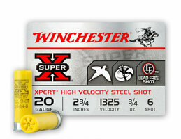 Winchester 20 ga 6 shot