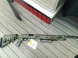 Mossberg 500 $599