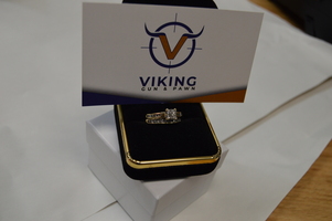  10kt Diam Engagement  Set 2 Pc  28 Princess cut Daimonds   Only $399.00  