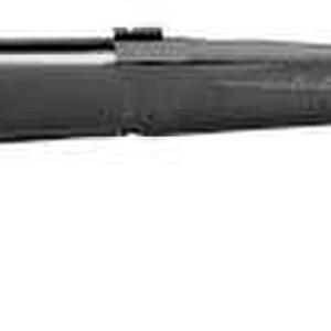 Sturm, Ruger American SALE$399.00