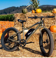 Emojo Wildcat Pro 500 With suspension