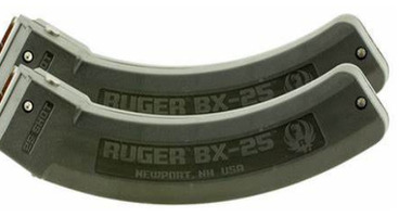 Ruger 25 Round  Mags Tein pack