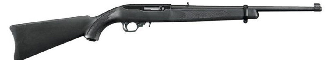Ruger 10/22 .22 Semi Auto rifle New