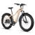 Adventure Sand So Large E-Bike NEW!  With Rack 2 Year Warranty