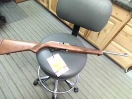Ruger Rifle Semi-Auto 22 LR  10/22