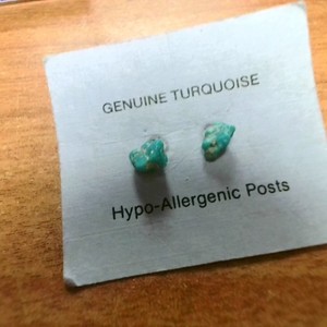 Turquoise earings NA