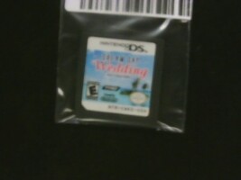 Nintendo DS Dream Day Wedding