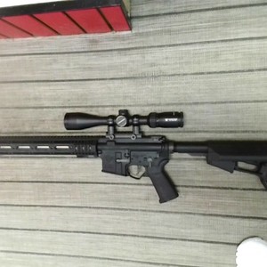 APF  APF -15 223 Wylde Ar complete with Vortex and trigger upgrade