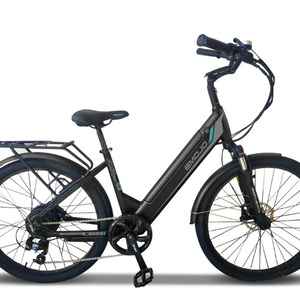 Panther  Pro Black  E-bike
