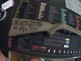 Ruger 10/22