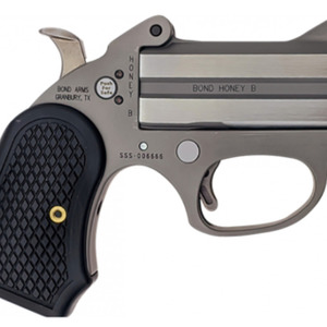 Bond Arms Stinger .22 mag 