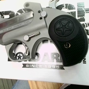 Bond Arms Roughneck .380 acp Derringer