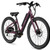Pace 350 S- Amethyst E bike New