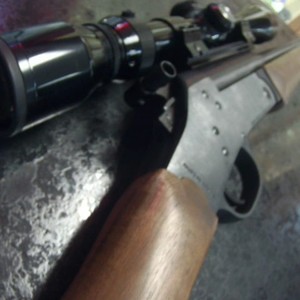 Rossi Braztech M20223 223 20ga combo  rifle shotgun