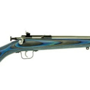 Keystone Sporting Arms Crickett .22 Rifle 