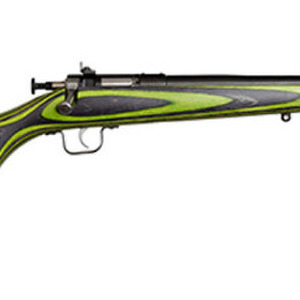 Keystone Sporting Arms Crickett .22 My First Rifle 