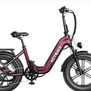 Heybike Rose Red 750 Watt E-Bike Foldable