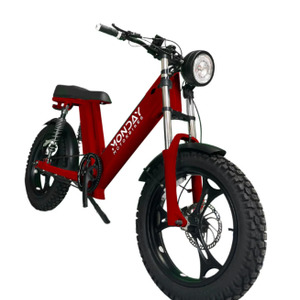 Gateway Mars RED E Bike Class 3 
