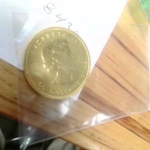 Maple leaf  2009 1 oz Gold