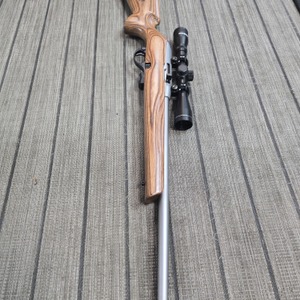 Remington 597 22rifle stainless 