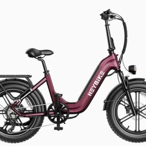 Heybike Ranger S E Bike