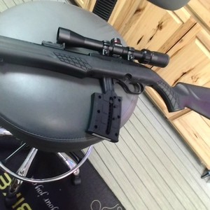 Rossi International Arms RS 22  Rifle