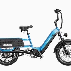 Heybike  Hauler E Bike Sale