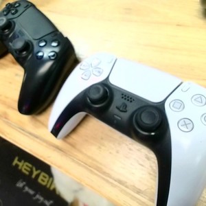 Sony PS5 OEM Control  