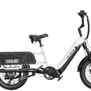 Cargo Hauler E Bike Save big 