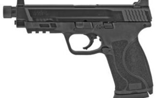 Smith & Wesson M&P 380 Shield Silver .380